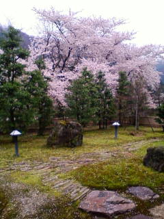 201004111339.jpg