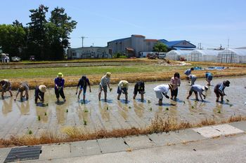 発酵食大学田植え08.jpg