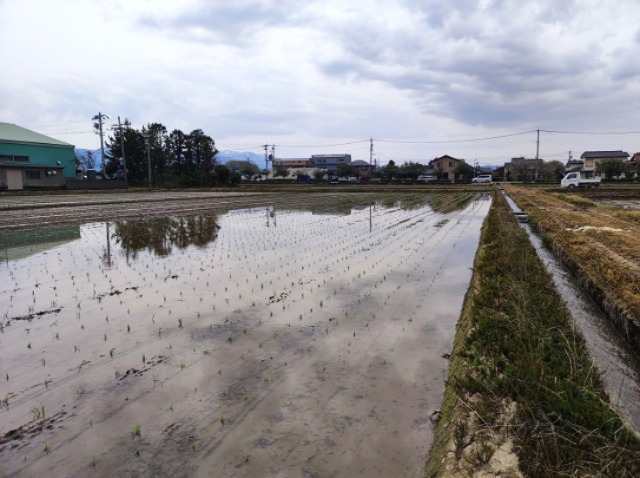 25田植え3.jpg