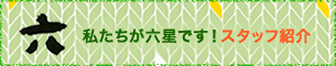スタッフ紹介