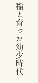 稲と育った幼少時代