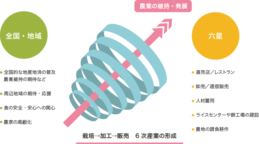 栽培→加工→販売　6次産業の形成の図