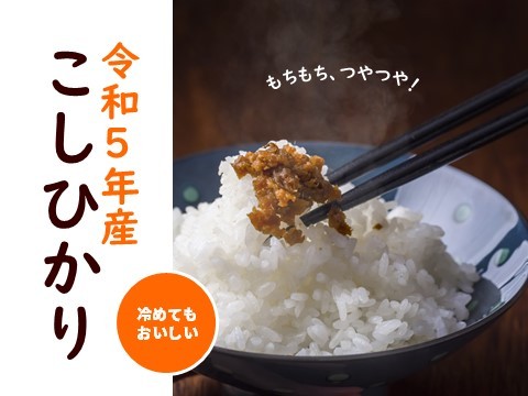 六星